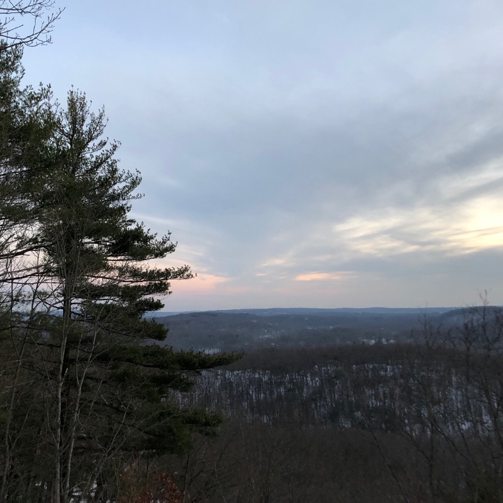 Meet your Posher, Claire